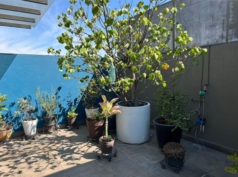 Departamento en venta en Ángel Urraza, Del Valle Centro